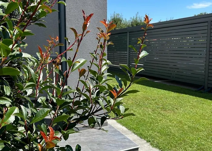 דירה Aurora בנובצי