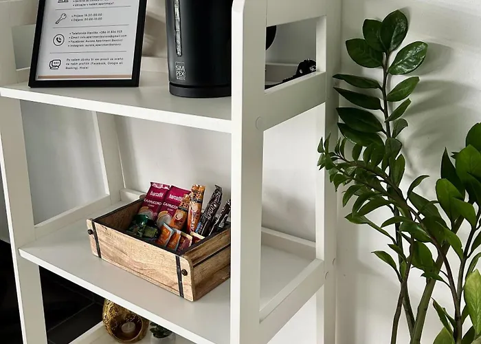 Aurora * בנובצי