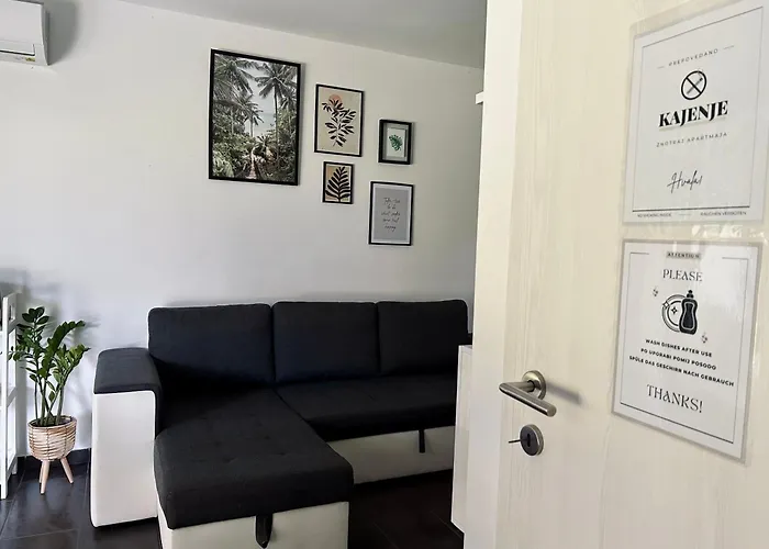 Aurora דירה בנובצי